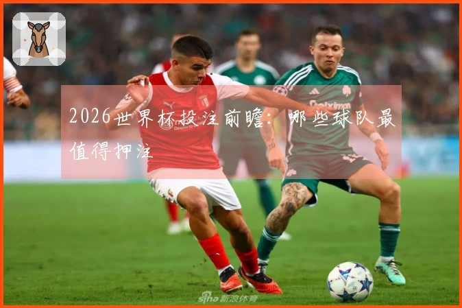 2026世界杯投注前瞻：哪些球队最值得押注