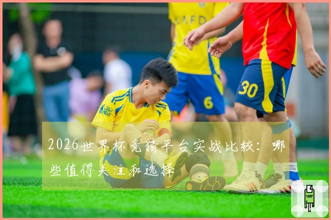 2026世界杯竞猜平台实战比较：哪些值得关注和选择