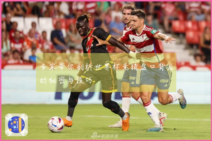 专家带你剖析世界杯竞猜盘口背后的秘密与技巧