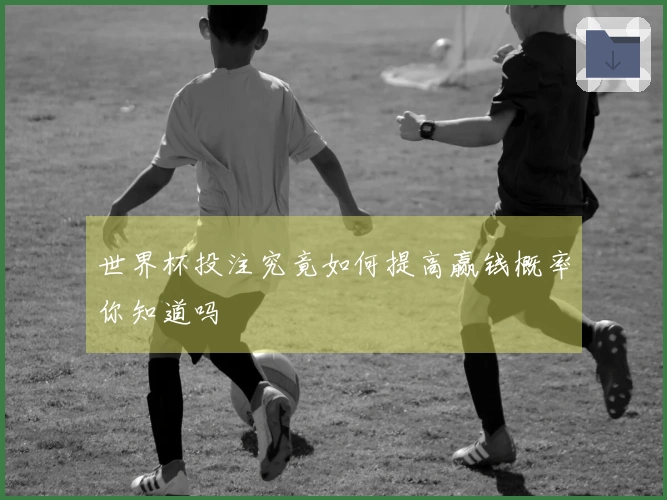 世界杯投注究竟如何提高赢钱概率你知道吗