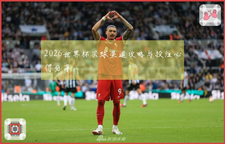 2026世界杯买球渠道攻略与投注心得分享