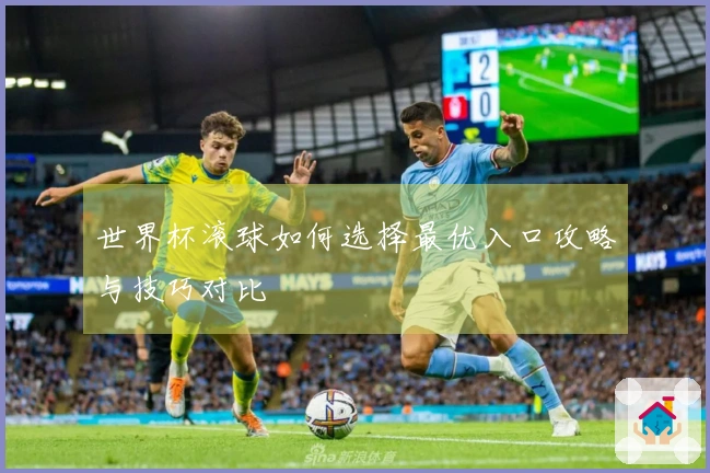 世界杯滚球如何选择最优入口攻略与技巧对比