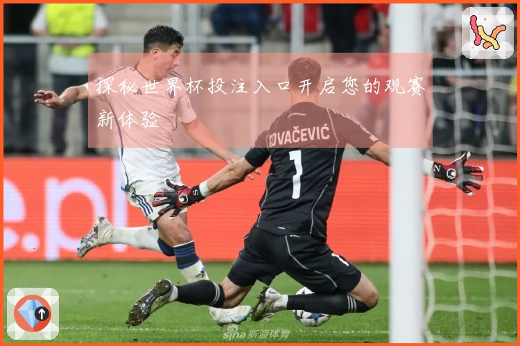 探秘世界杯投注入口开启您的观赛新体验
